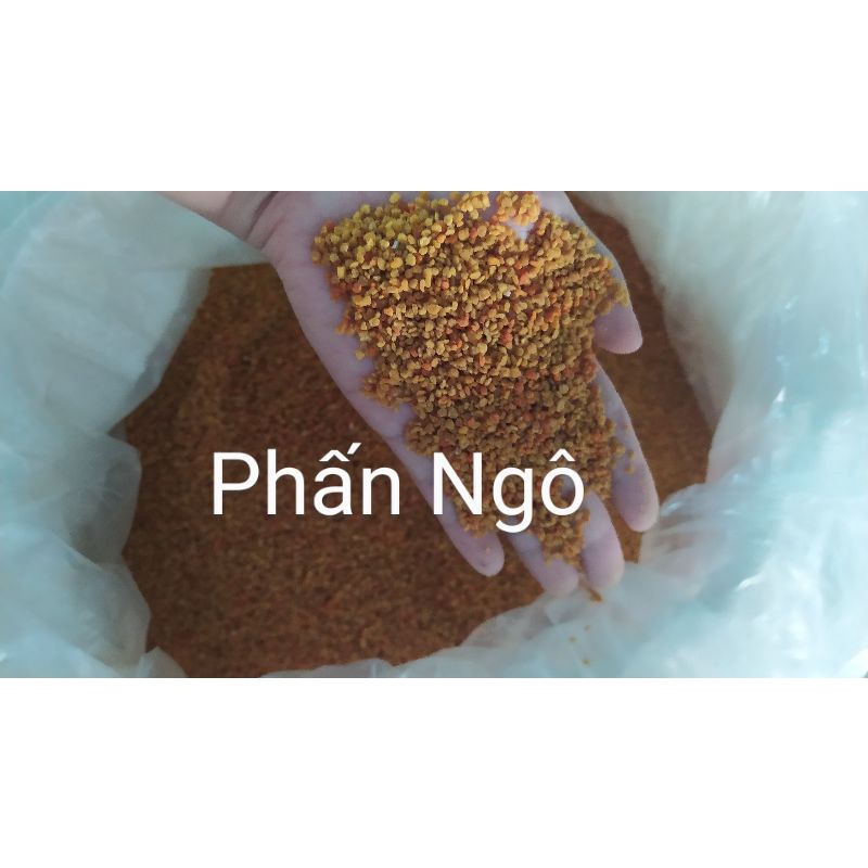 1KG PHẤN  .