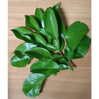Lá bưởi tươi 100gr