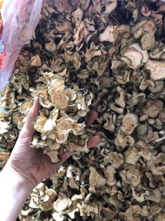 Bí đao sấy khô organic