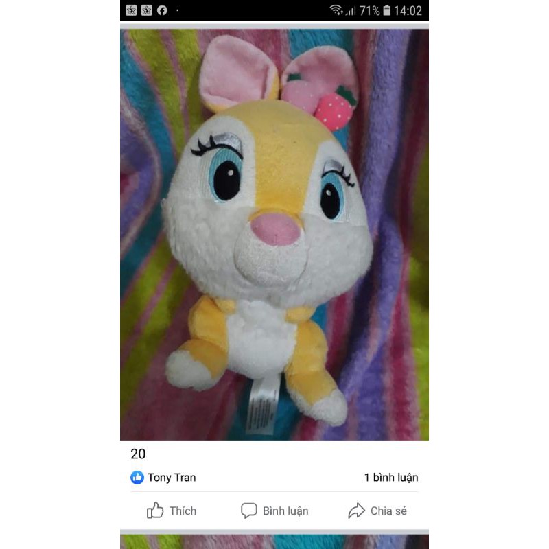 Gấu bông naby nhung