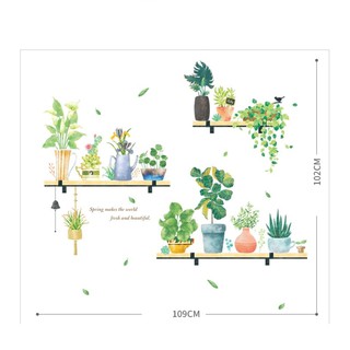 decal dán tường chậu cây trang trí