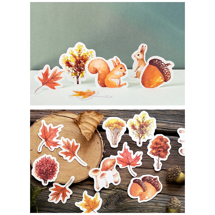 Hộp 46 sticker chủ đề cánh rừng mùa Thu xinh xắn trang trí nhật ký DIY đẹp mắt Box Sticker ST431