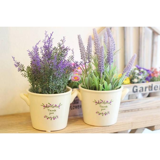100 hạt giống hoa oải hương Lavender màu tím siêu thơm