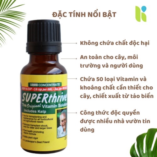 Thuốc Superthrive kích thích sinh trưởng cho Lan, phân bón lá Super Thrive