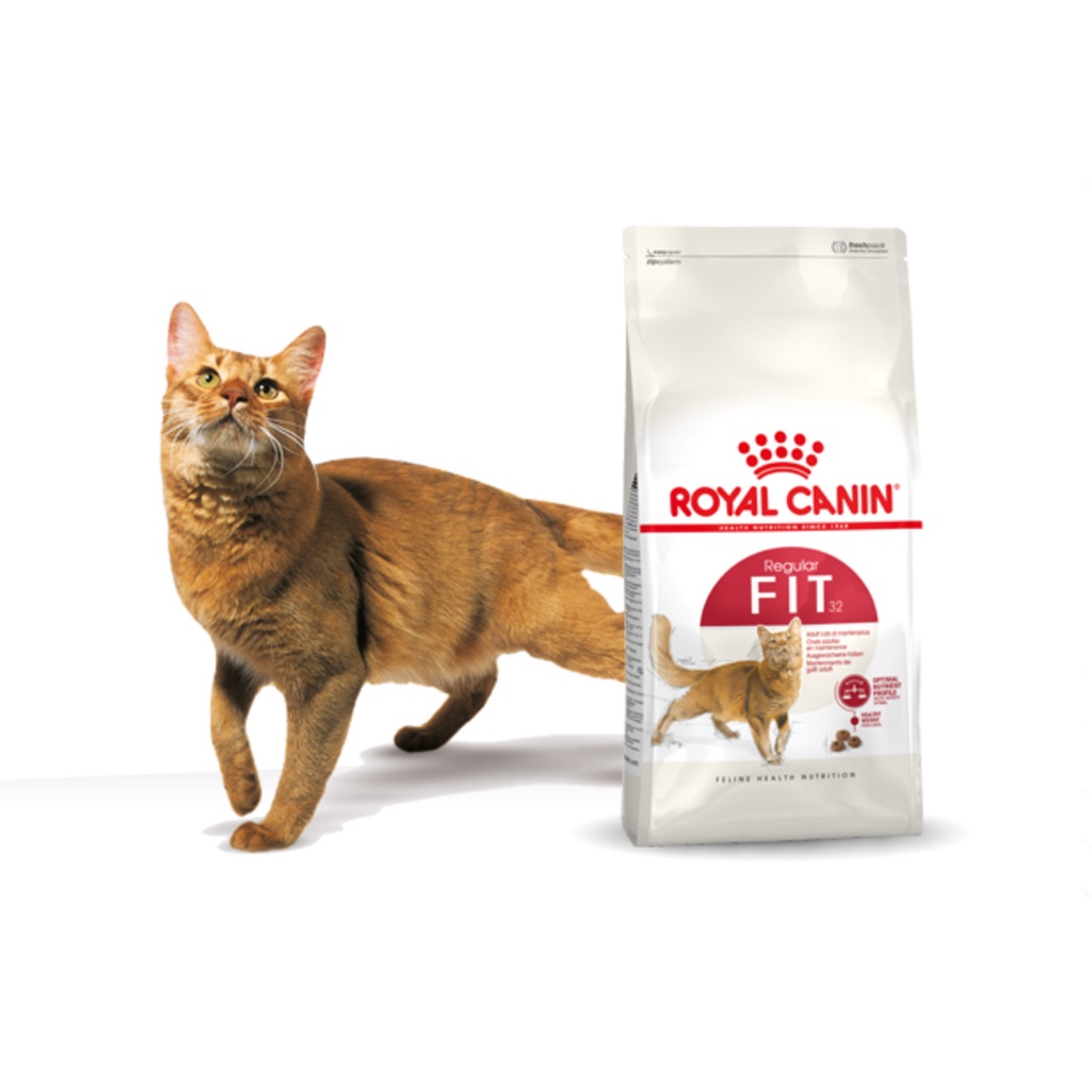 THỨC ĂN CHO MÈO ROYAL CANIN FIT32 - 1kg