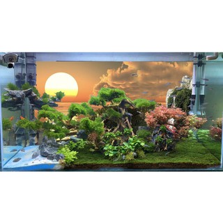 [Tặng Đồ Dán+Sticker] Tranh 3d dán bể cá trang trí bể cá nhiều kích thướt chọn lựa mã tranh