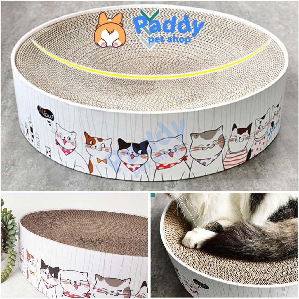 Bàn Cào Móng Giấy Ổ Nằm Tròn Cho Mèo