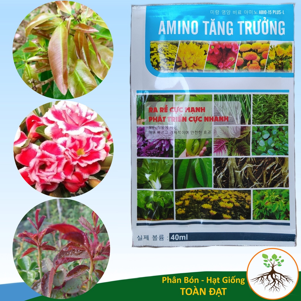 Phân Bón Lá AMINO Tăng Trưởng, Kích rễ cực mạnh, Phát triển cực nhanh (40g)