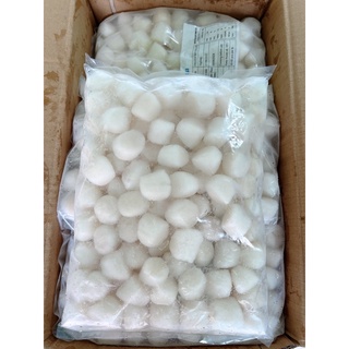 Cồi sò điệp Nhật Nissi size 50/80 cồi bịch 1kg