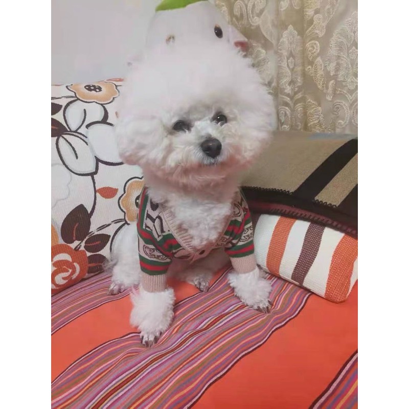 ÁO CARDIGAN GUCCl cho chó mèo