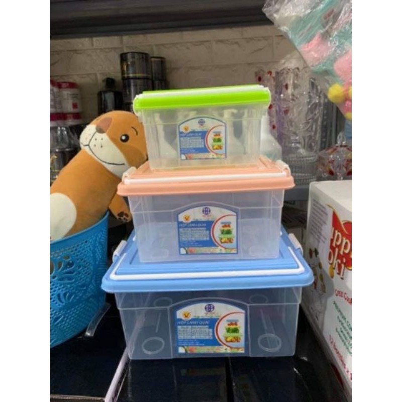 Hộp đựng thức trong ăn tủ lạnh - hộp lạnh 2 có quai nhựa Việt Nhật-Song Long