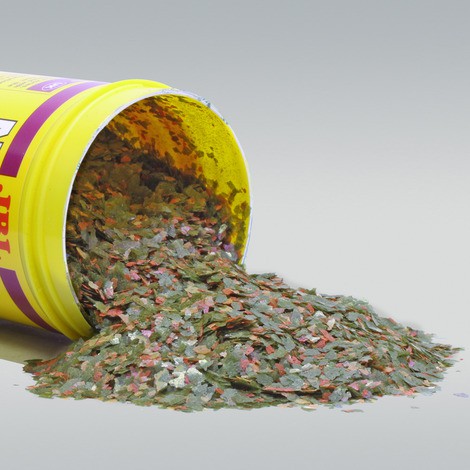 Thức ăn cho cá bảy màu JBL novo guppy