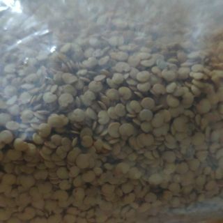 50 Hạt giống cà tím dài