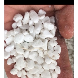 200g đá trắng, sỏi trắng trang trí cây cảnh, bể cá
