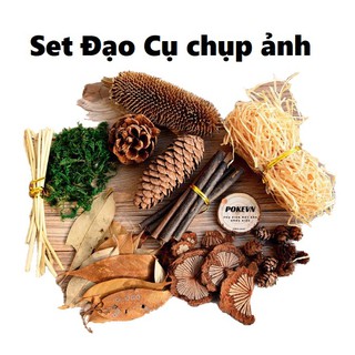 Set vintage trang trí chụp ảnh, decor nhà cửa, cửa hàng