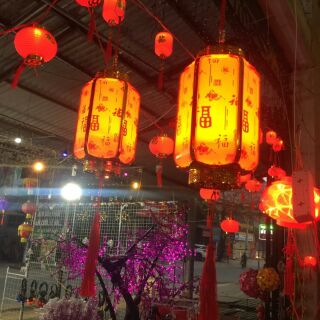 Đèn lồng điện (20 cm)