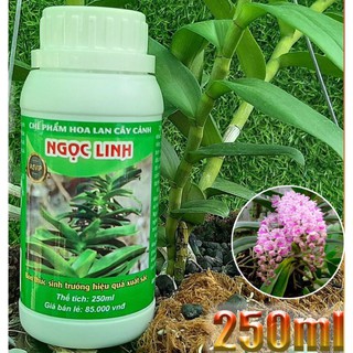 Chế Phẩm Ngọc Linh A5 phân bón thúc đẩy sinh trưởng 250ml
