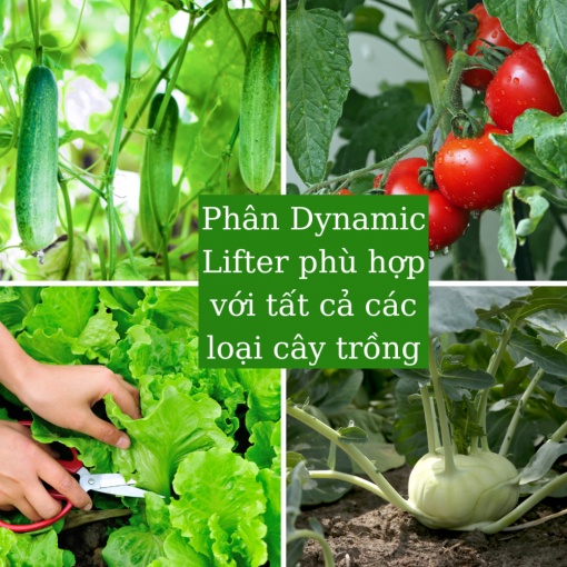 Phân Dynamic Úc gói 1kg  -  phân hữu cơ bón cho hoa kiểng - rau - cây ăn trái (Vườn Sài Gòn - Vuon Sai Gon