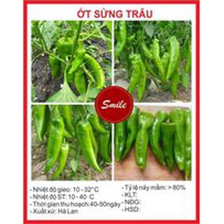 Hạt giống Ớt Sừng Trâu - 50 Hạt