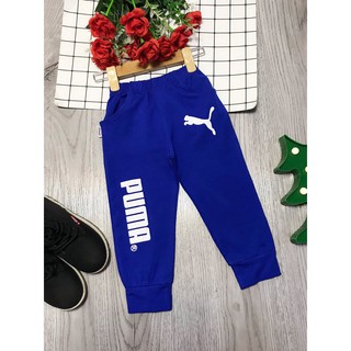 Combo 4 quần cotton.