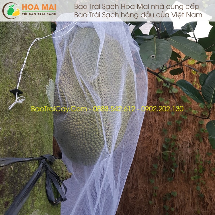 100 cái Túi bao Mít Thái 50x70 lưới mùng trơn - hàng chính hãng Hoa Mai