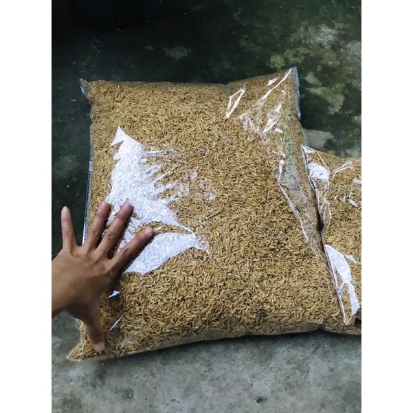 VỎ TRẤU-giá thể tăng độ thông thoáng cho môi trường rễ cây trồng,giúp cây tăng khả năng hấp thu chất dinh dưỡng,túi 10dm