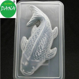 Khuôn nhựa hình cá chép 3D