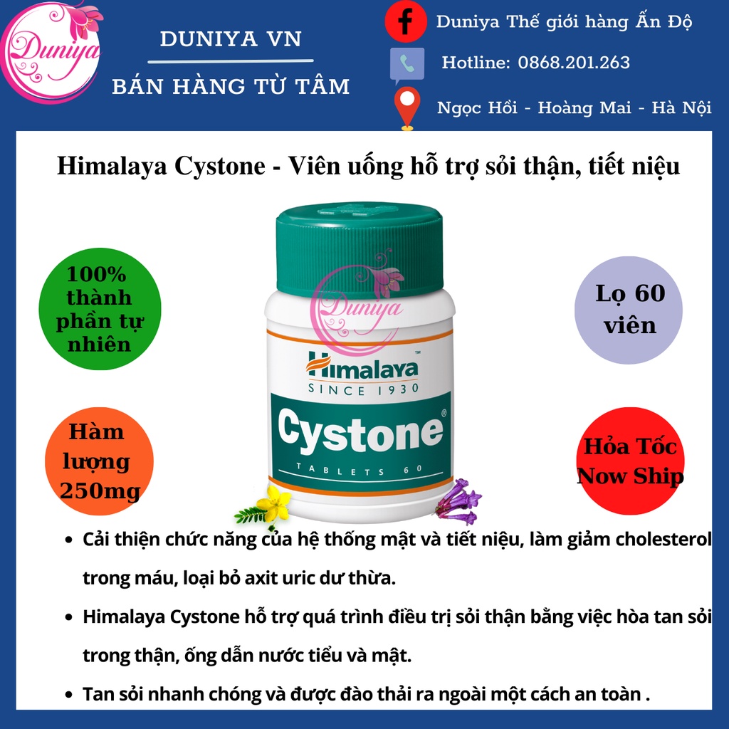 [HOT] Himalaya Cystone - Viên hỗ uống trợ Thận của Himalaya -[SẴN HÀNG]