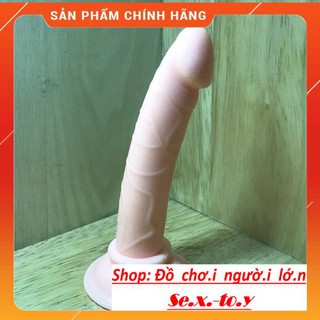Máy massage cầm tay