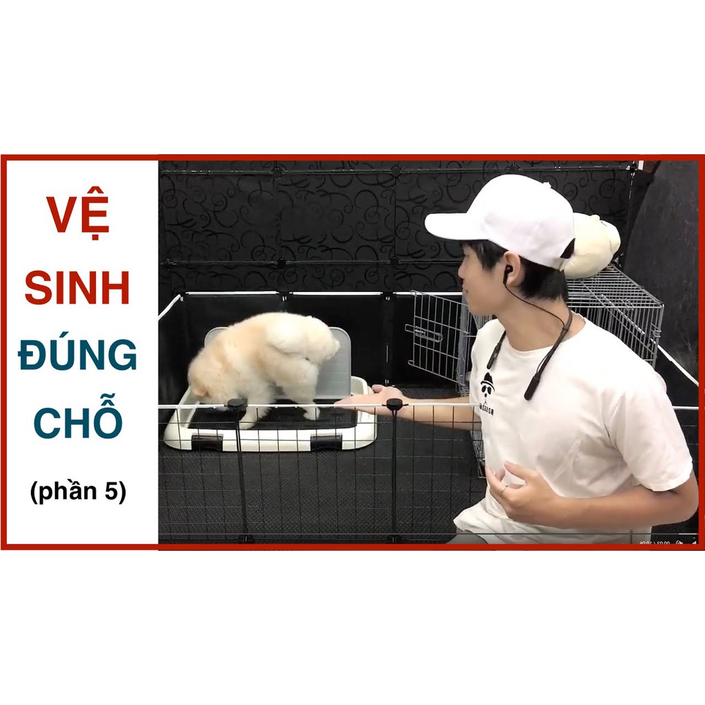 Khay vệ sinh chó phù hợp mọi dòng cún Poodle, Corgi, Pom - Thiết kế có tường, chống cào tã | BossDog