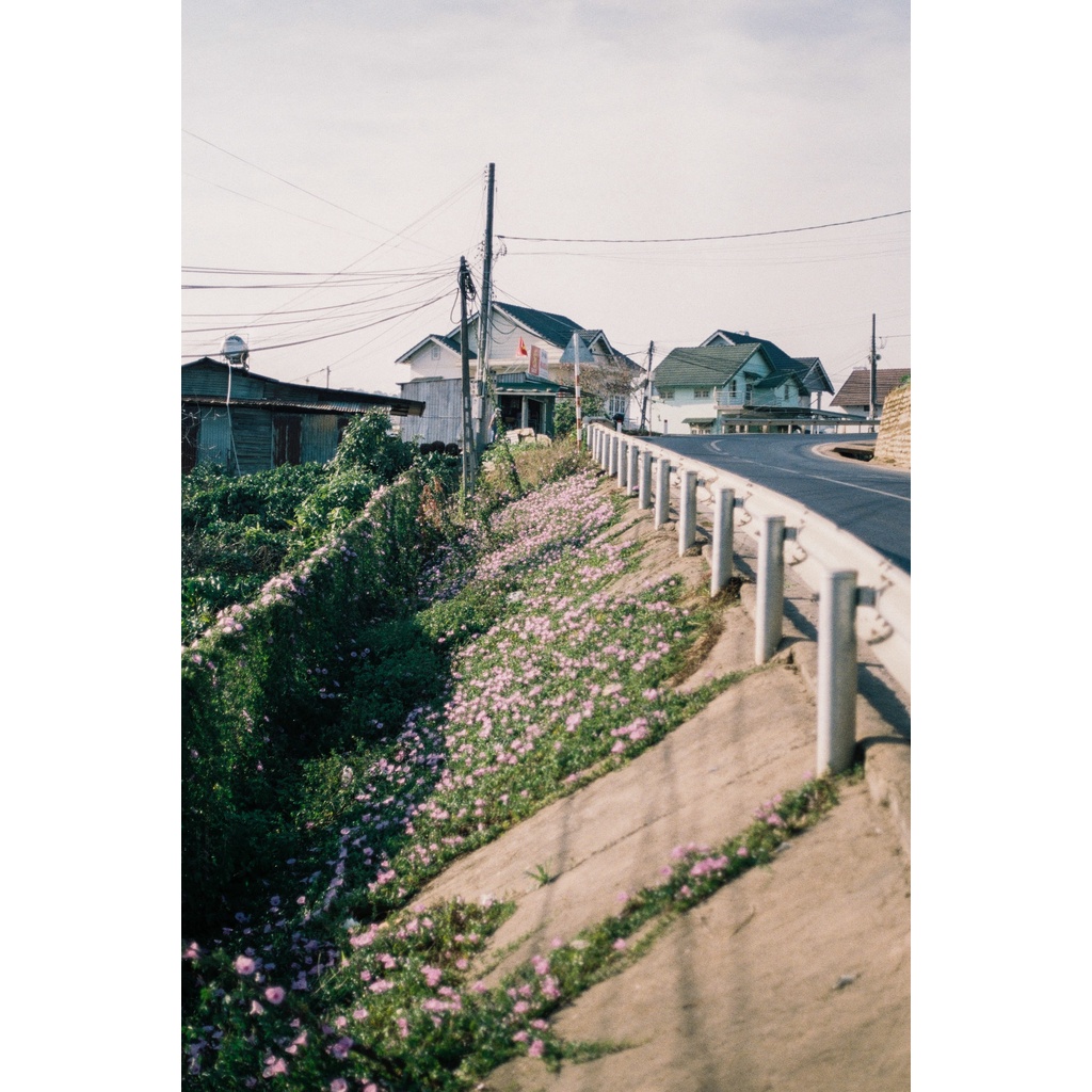 FUJIFILM 400  - 36 exp - Film máy ành