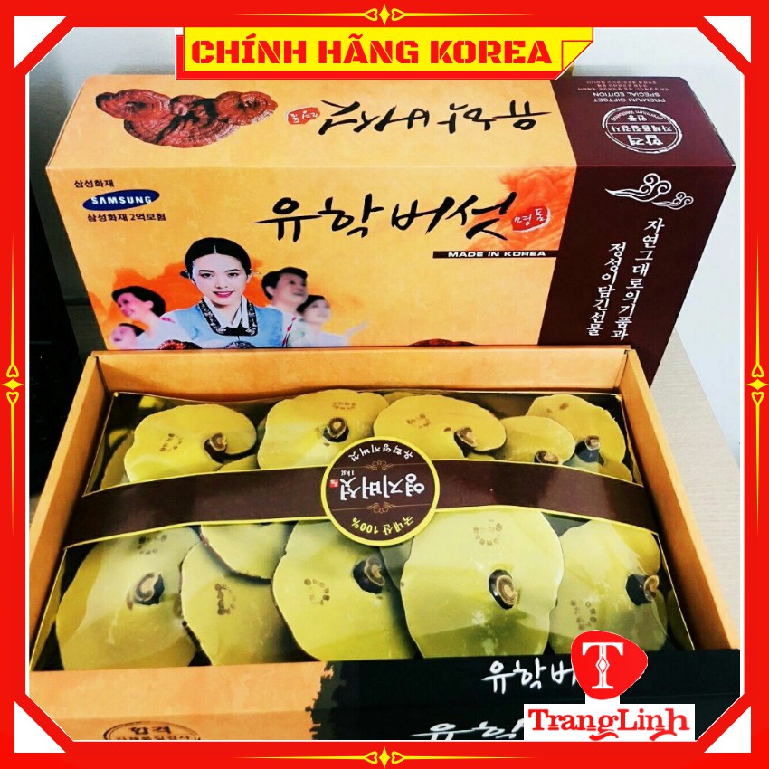 Nấm linh chi hàn quốc chính hãng - Nấm hộp cô gái 1kg giúp thải độc gan, thanh lọc cơ thể - tranglinhkorea