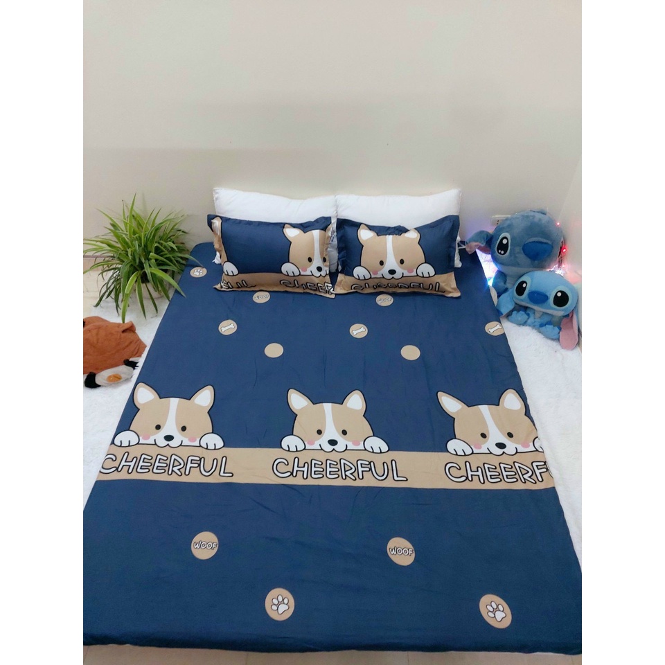 Ga + Gối poly sét 3 món poly cotton không xù không phai màu - Sét 3 món ga bo chun + 2 vỏ gối Ấm Êm Decor | BigBuy360 - bigbuy360.vn