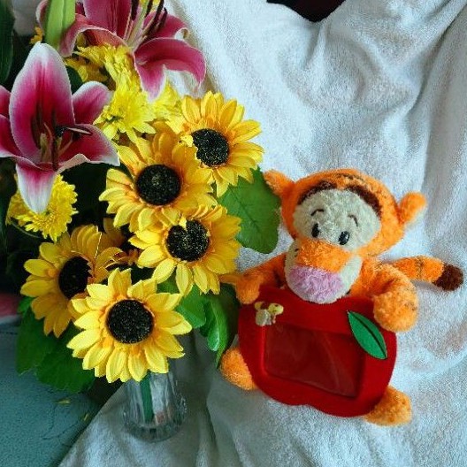 Gấu bông khung hình