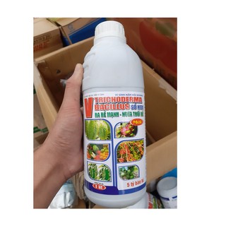 CHẾ PHẨM VI SINH NẤM ĐỐI KHÁNG 1 LÍT V TRICHODERMA BACILLUS SỐ H01, RA RỄ MẠNH - NGỪA THỐI RỄ