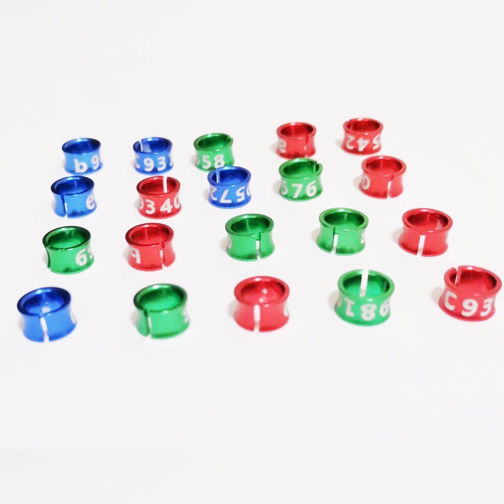 Set 10 Vòng Đeo Chân 4mm//5mm/6mm/7mm Hình Chim Bồ Câu/Chim Bồ Câu Luyện Tập Chân