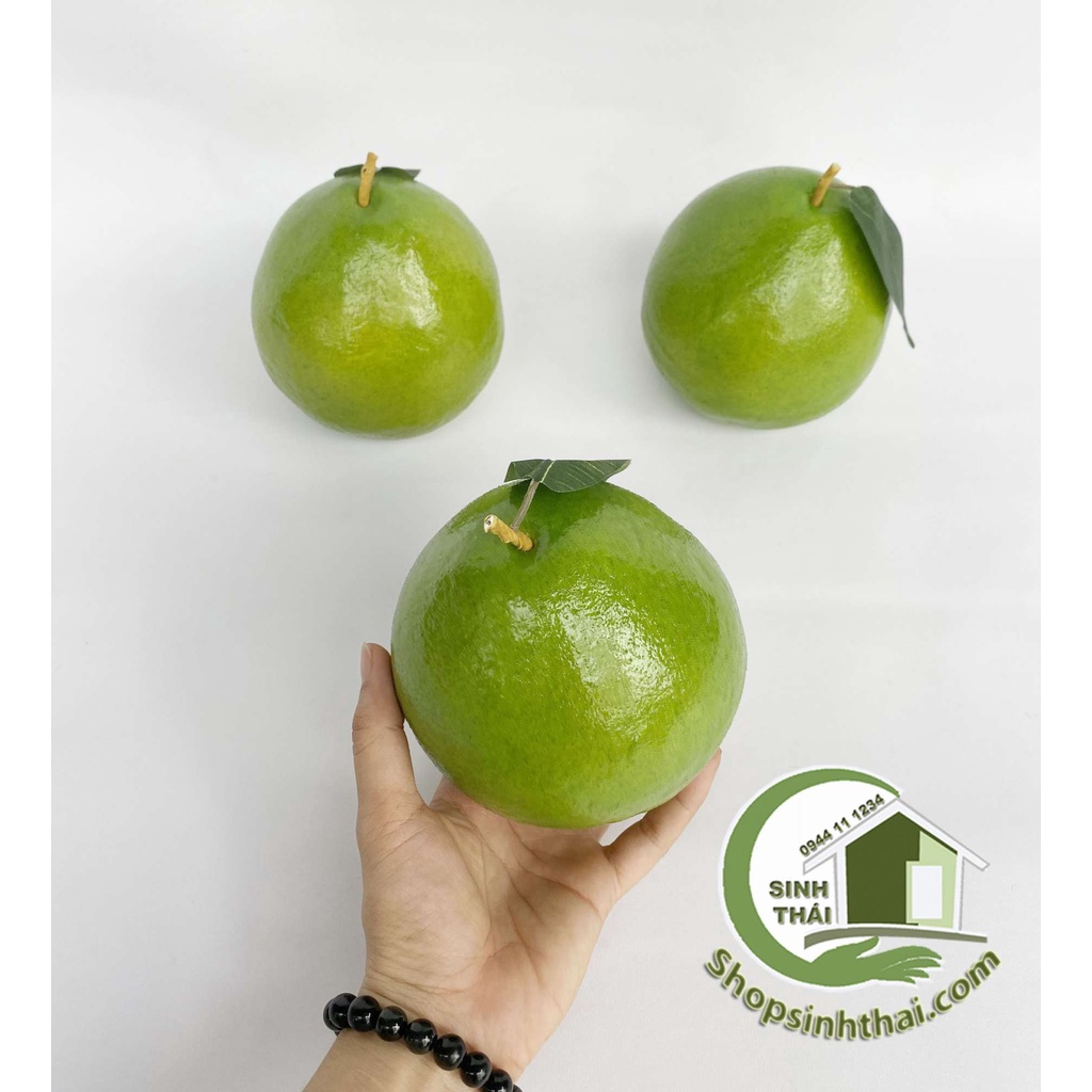 Trái bưởi da xanh - quả bưởi giả màu xanh - trái cây giả cao cấp