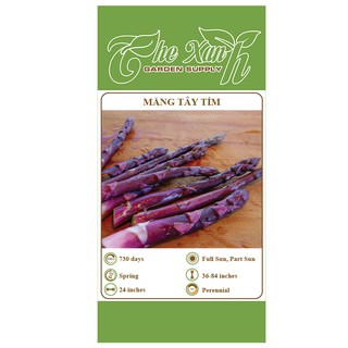 Hạt giống măng tây tím_10 hạt The Xanh Garden Supply