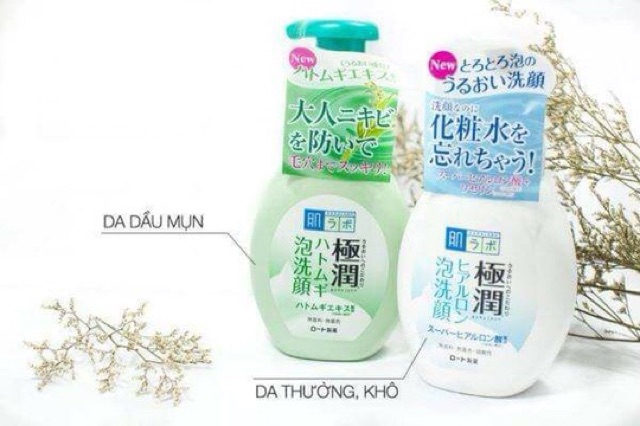 {Chính Hãng} Sữa Rửa Mặt Tạo Bọt Hada Labo 160ml Nhật Bản Có Vòi