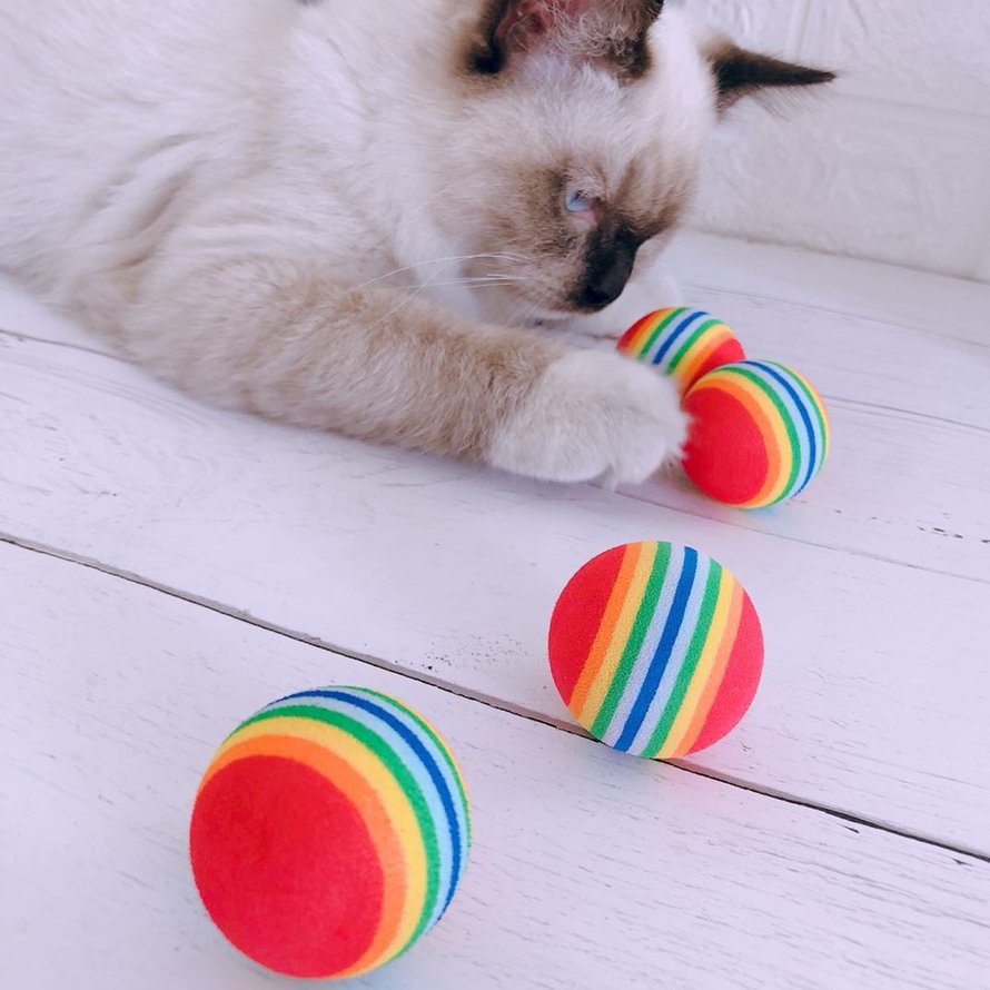 Quả bóng cao su đồ chơi dễ thương cho thú cưng