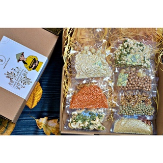 Set sữa hạt "7 ngày dinh dưỡngin - 10 loại hạt làm sữa dùng trong 7 ngày