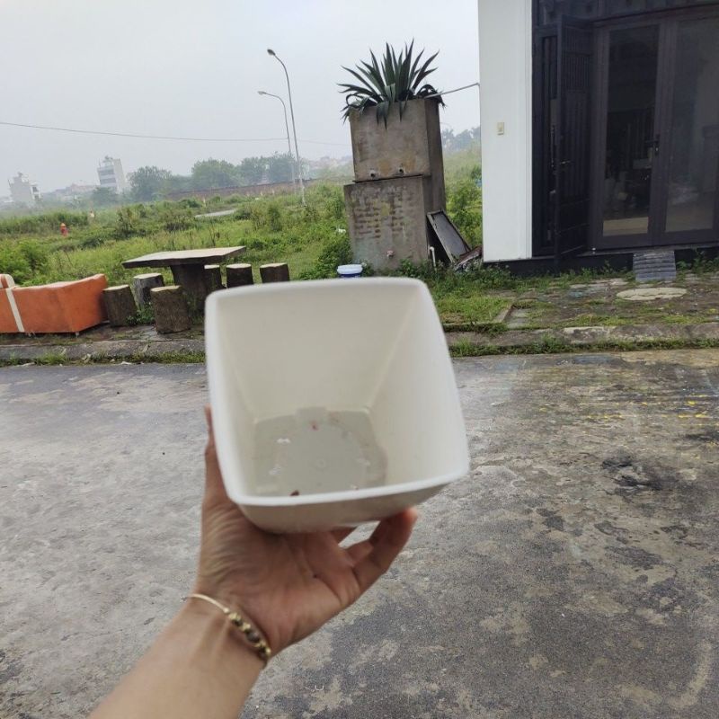 CHẬU VUÔNG V16 (16*16*20) TRỒNG HOA CÂY CẢNH LOẠI 1 DÀY ĐẸP