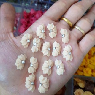 Hoa bột nửa bông( gạt ảnh xem màu)