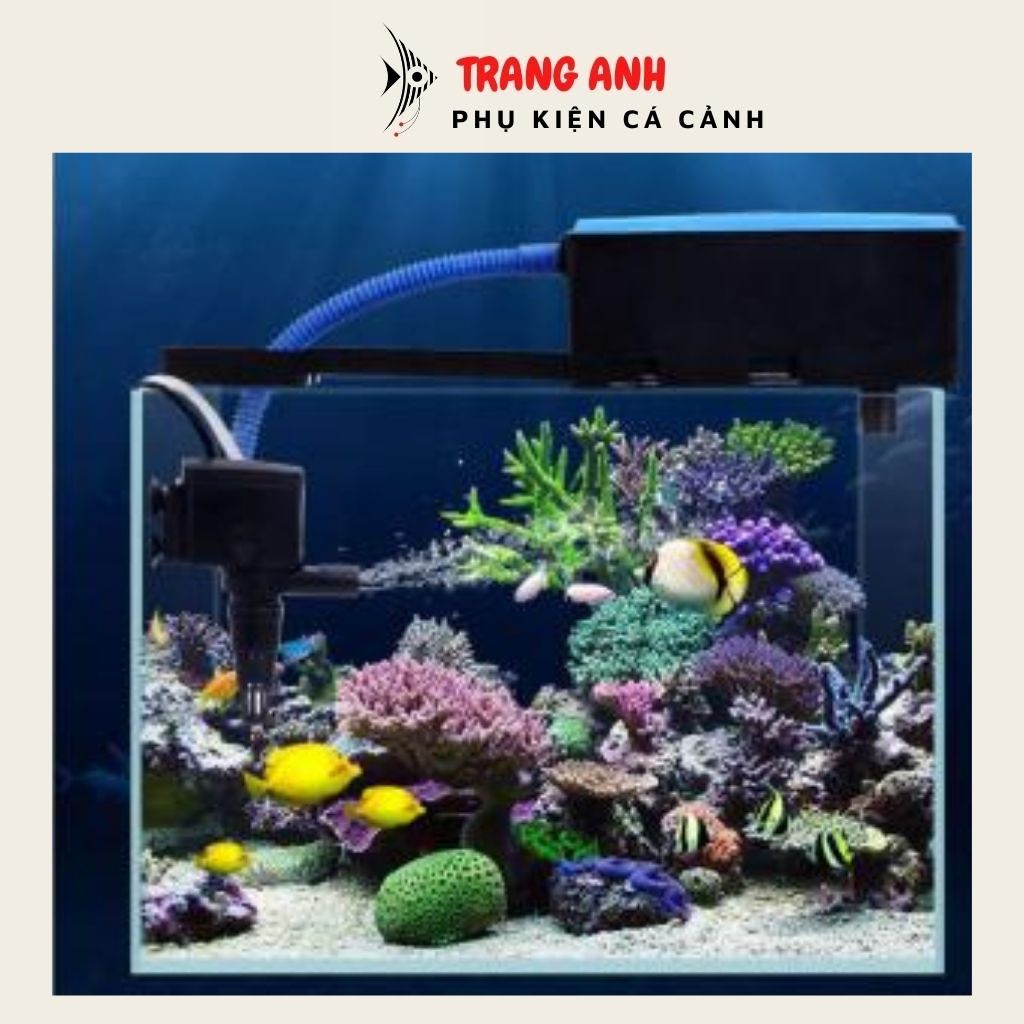 Máy lọc nước hồ cá RS 9800 ba chức năng (bơm, lọc, thổi khí), phù hợp cho bể cá cảnh dài 1 - 1.4m, hàng chính hãng