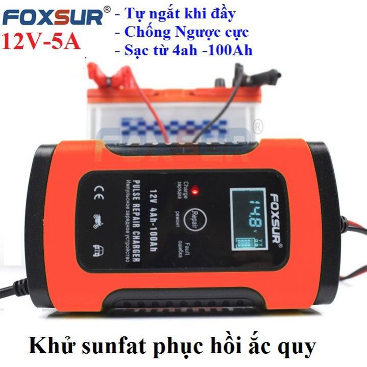 sạc bình ắc quy 12v 100Ah foxsur có khử sunfat