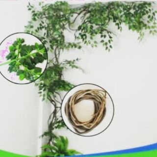 Thân cây dây leo khô. Dùng decor cây leo nhựa. Cây giả trang trí