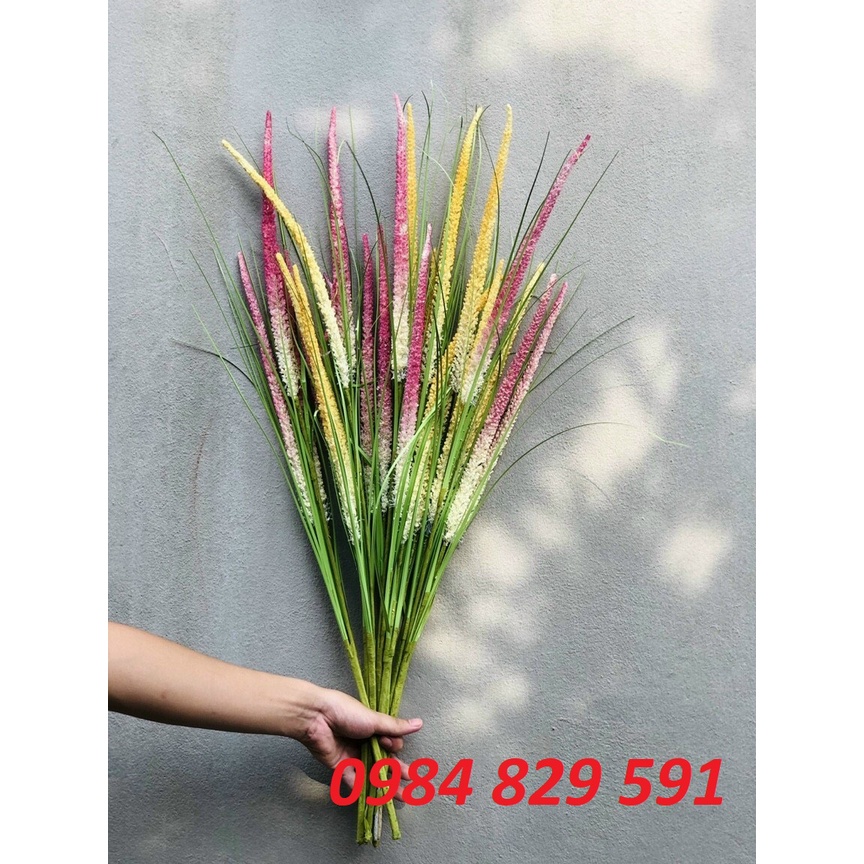 Cành lau giả trang trí 3 bông
