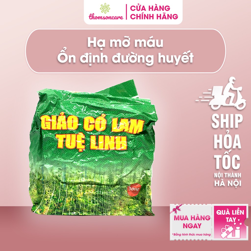 Trà hãm nước uống Giảo Cổ Lam Tuệ Linh - Giúp giảm mỡ máu, hạ cholesterol, huyết áp cao - Túi 300g chè khô