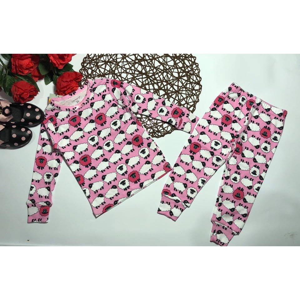 Bộ dài tay cho bé gái thun borip hàng Carter