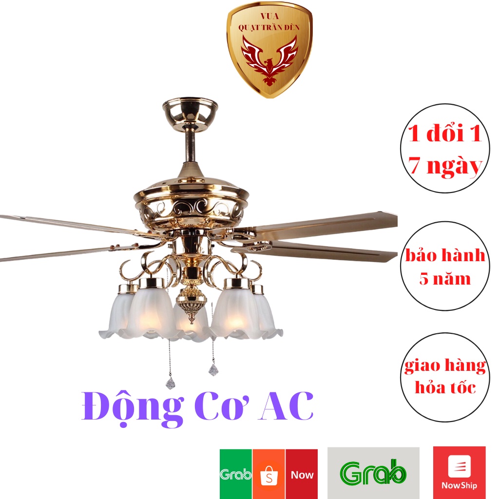 Quạt Trần Trang Trí Phòng Khách QTD2365, Quạt Trần Có Đèn/Điều Khiển Từ Xa, Động Cơ AC